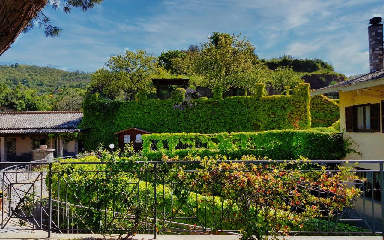 Agriturismo Le Vigne Bolsena Bagian luar foto