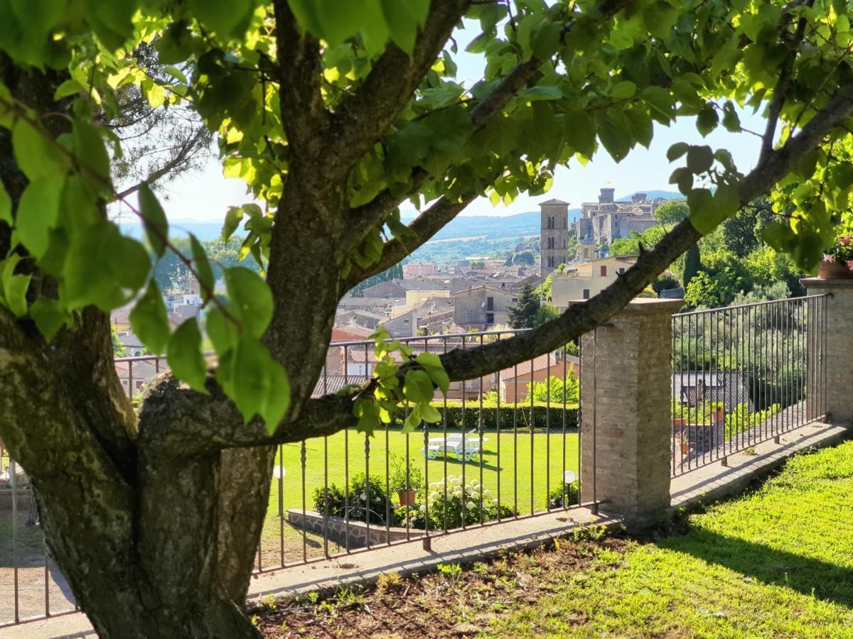 Agriturismo Le Vigne Bolsena Bagian luar foto